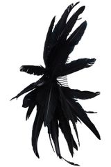 Ann Demeulemeester Feather Hairpiece