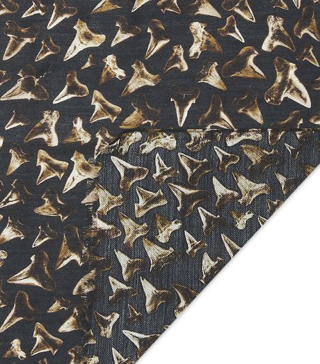 paul smith shark