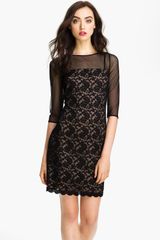 Adrianna Papell Illusion Yoke Lace Mesh Dress