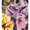 Roberto Cavalli Print Dress in Floral - Lyst