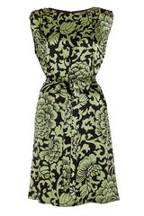 Temperley London Dianthus Shift Dress