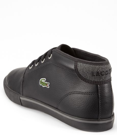 lacoste black ampthill