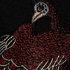 Proenza Schouler Peacockembroidered Scubajersey Sweatshirt in Black (peacock) - Lyst