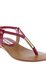 Steve Madden Hamil