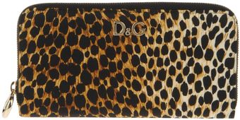 D&G Wallet - Lyst