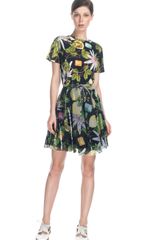 Isolda Passion Fruit Godet Skirt