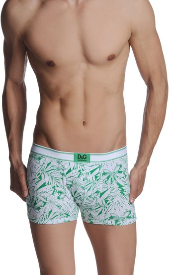 D&G Boxer - Lyst