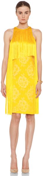 Stella McCartney Mix Cady Lace Fringe Dress  - Lyst