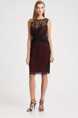  Lace Overlay Dress