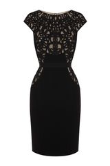 Coast Alicia Dress
