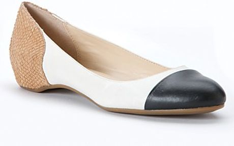 calvin klein ballerina shoes