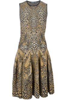 Alexander McQueen Printed Dress - Lyst