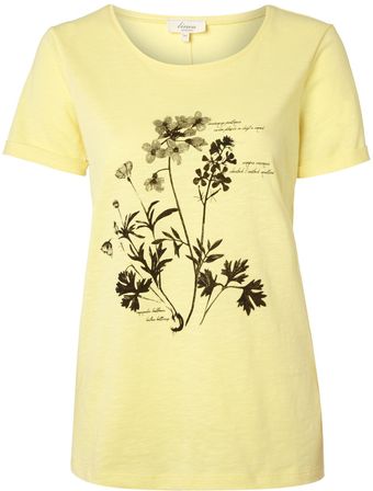 Linea Weekend Ladies Botanical Placement Floral Tee - Lyst