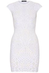 Alexander McQueen Intarsia Metallic Knit Dress