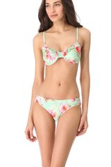 Amore & Sorvete Bolly Bikini Top