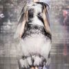 Mary Katrantzou Fall 2013 Runway Look 31 in  - Lyst