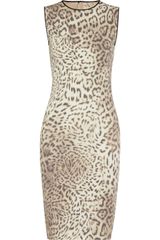 Giambattista Valli Leopardprint Stretch Cottonblend Dress