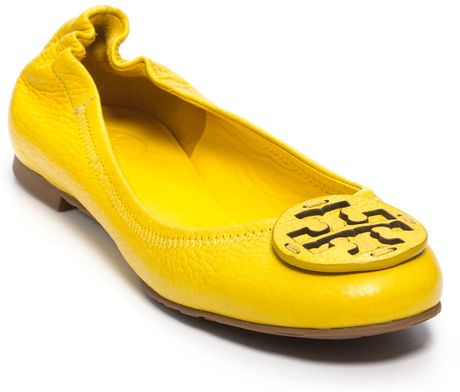 dandelion flats
