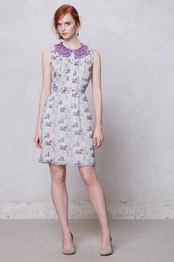 Anna Sui Wisteria Collared Dress - Lyst