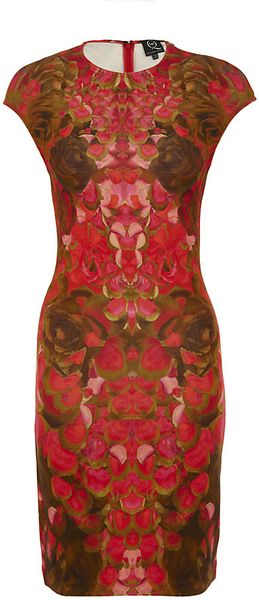 McQ by Alexander McQueen Petal Print Dress - Lyst
