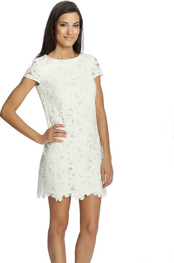 Cynthia Steffe Short Sleeve Floral Dress - Lyst
