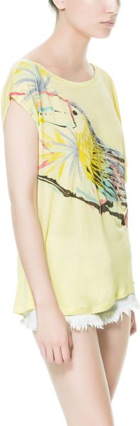 zara pineapple shirt
