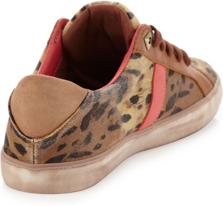 sam edelman dax leopard sneakers