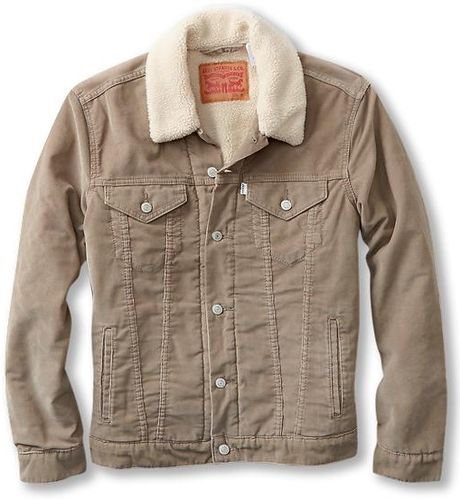 Levi's Trucker Sherpa Jacket in Beige for Men (Timberwolf Corduroy