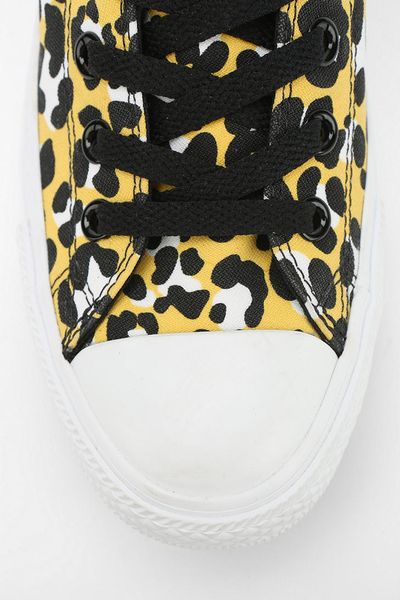 Urban Outfitters Converse Chuck Taylor All Star Animal Panel Womens ...