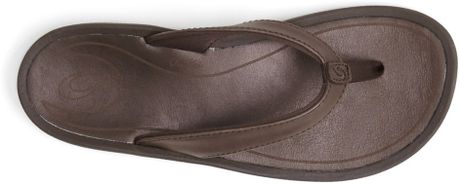 Olukai Kalupa Kai Leather Flip Flop in Brown (French Roast French ...