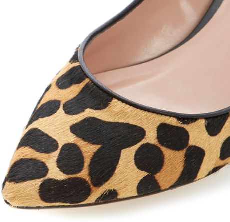 Dune Alfa Kitten Leopard Court Shoes in Animal (Leopard Print)