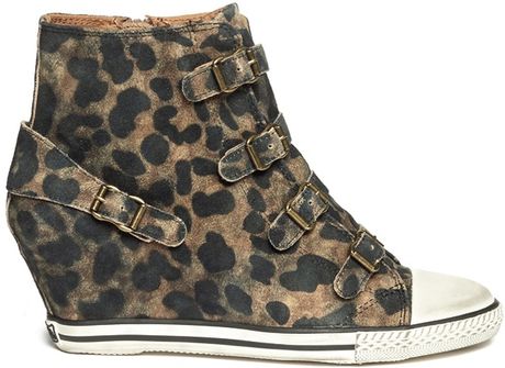 ash leopard print trainers