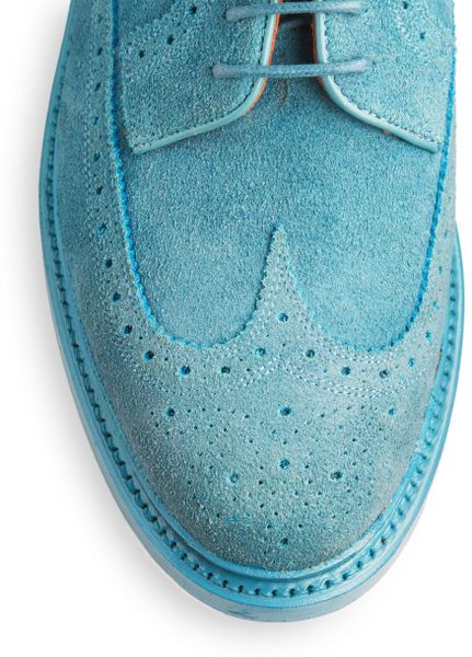 blue brown brogues