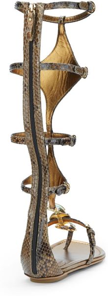 Sergio Rossi Tall Snake-Embossed Gladiator Sandals in Gold (bronze ...