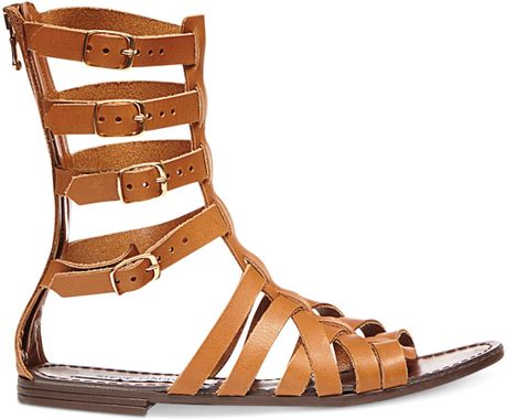 steve madden brown gladiator sandals