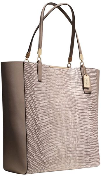 Coach Madison Large Tote Handbag in Beige (Taupe)