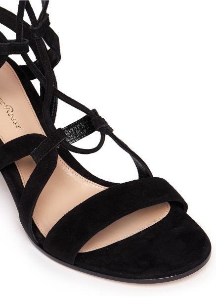 ... Rossi Suede Knee High Lace-Up Gladiator Sandals in Black | Lyst ... Rossi Suede Knee High Lace-Up Gladiator Sandals in Black | Lyst