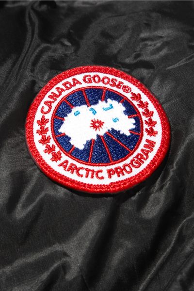 canada goose arctic program price