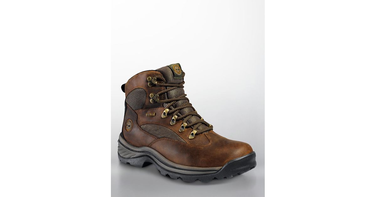 botas timberland chocorua trail