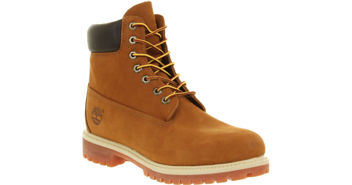 Timberland 6 In Buck Boots in Brown for Men (rust) | Lyst