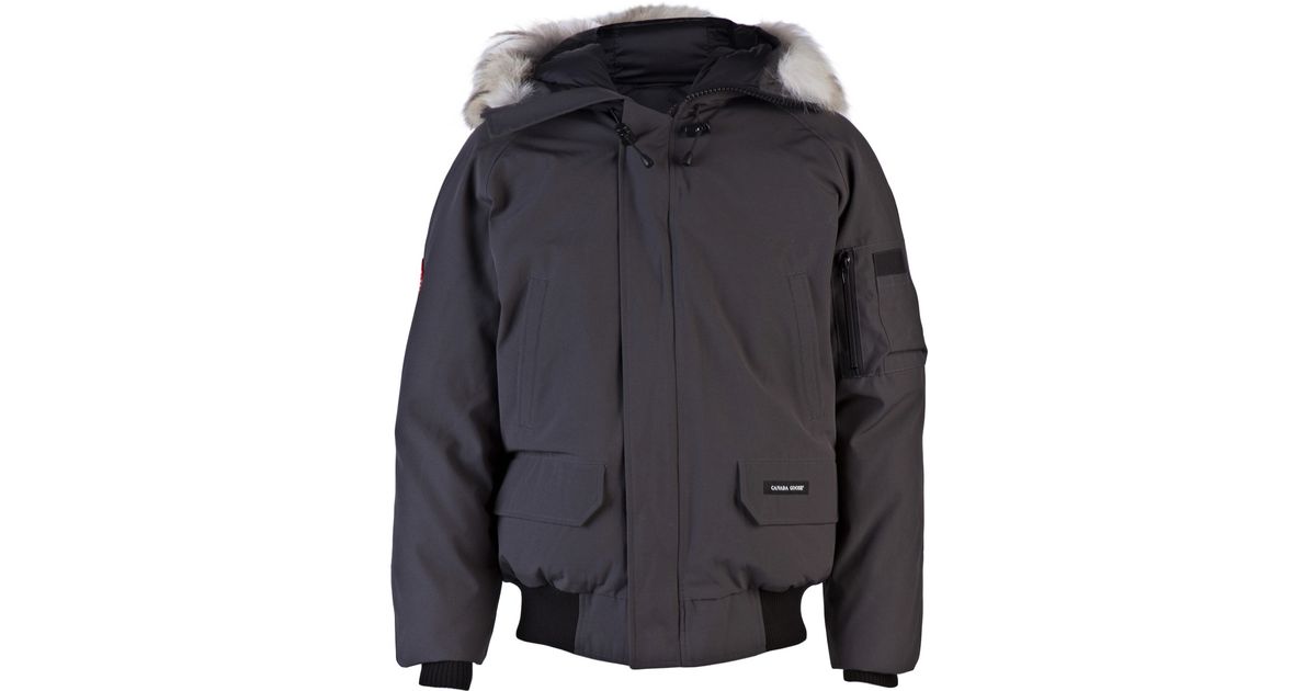 canada goose graphite chilliwack canada goose graphite chilliwack