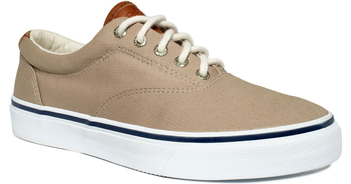 sperry top sider laceless