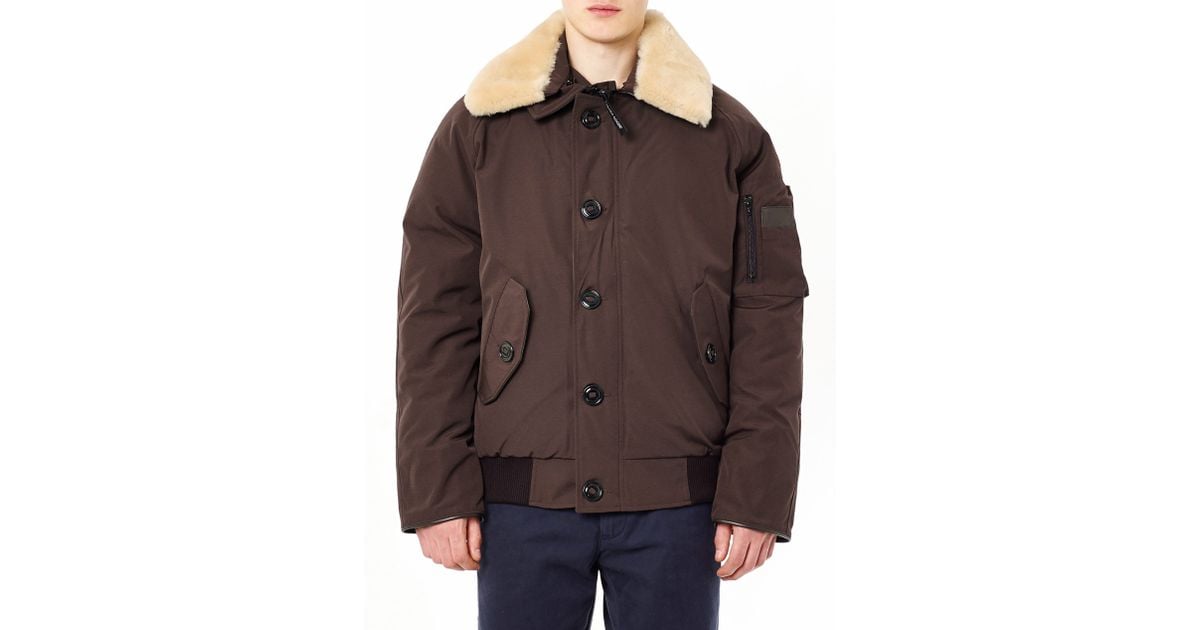 canada goose brown foxe bomber jacket canada goose brown foxe bomber jacket