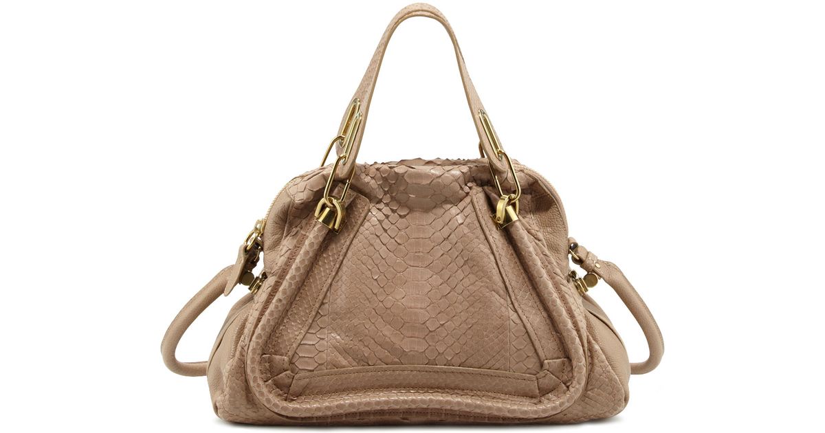 Chlo Paraty Python Shoulder Bag in Beige (SAND) | Lyst  