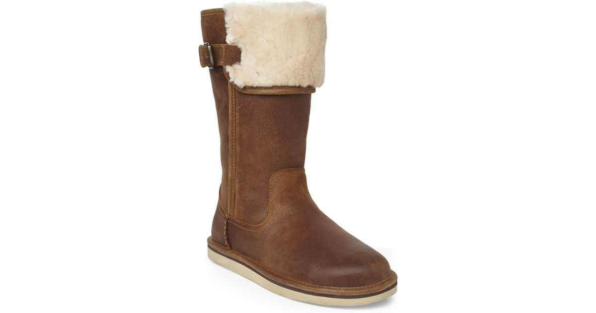 ugg australia plumdale tall boot chestnut suede ugg australia plumdale tall boot chestnut suede