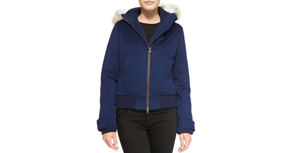 canada goose branta loro piana canada goose branta loro piana