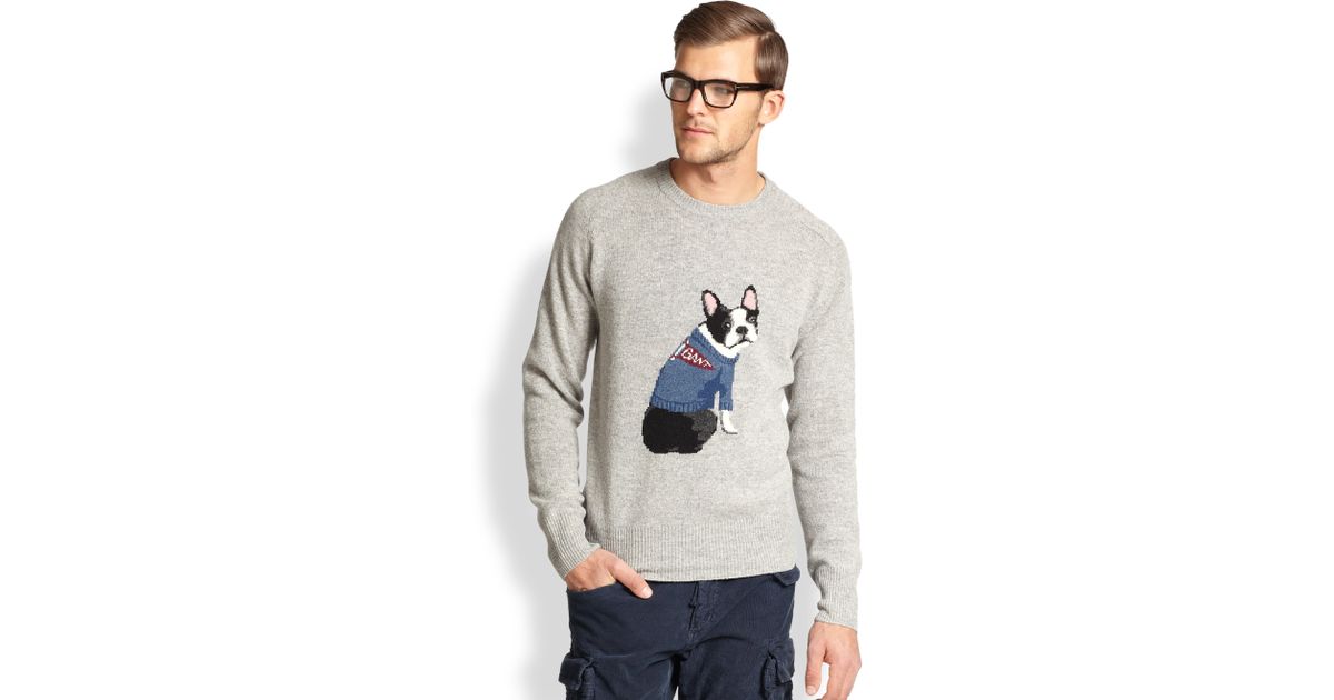 Gant French Bulldog Sweater in Gray for Men Lyst
