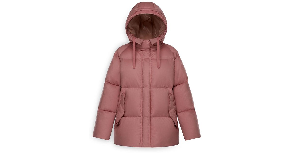 moncler nerium down coat moncler nerium down coat