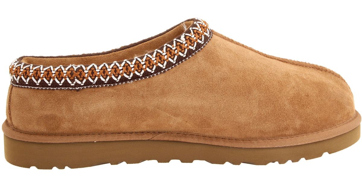 brown tasman uggs brown tasman uggs