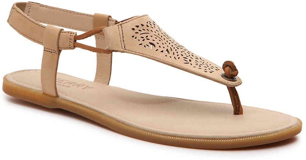 dsw sperry sandals